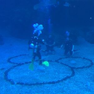 Meet your Posher, Tammra